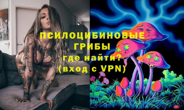 соль курить ск Алзамай